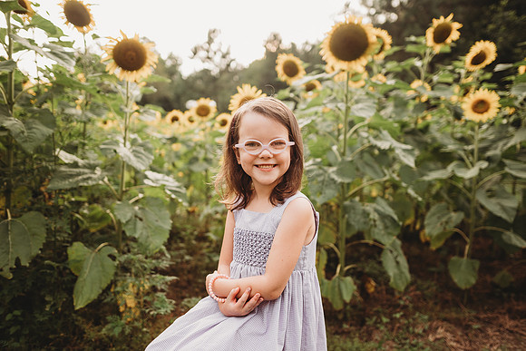 Sunflower-Stella-297