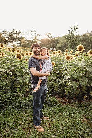Sunflower-Stella-209