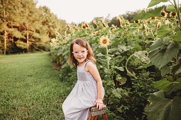 Sunflower-Stella-123