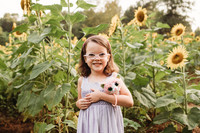 Sunflower-Stella-87