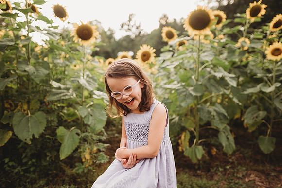 Sunflower-Stella-216