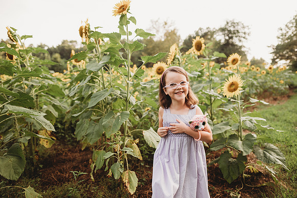 Sunflower-Stella-121
