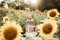 Sunflower-Tessa-109