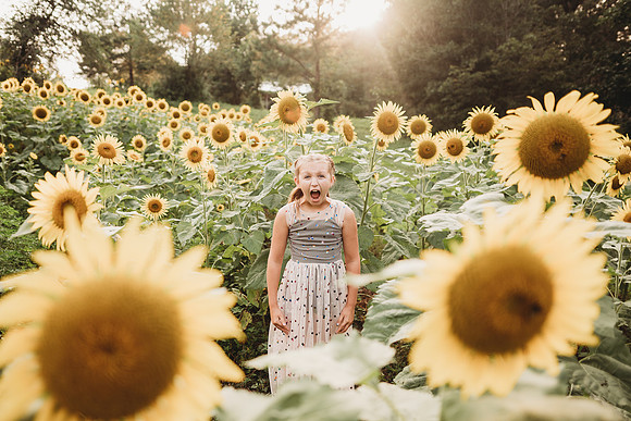 Sunflower-Tessa-109