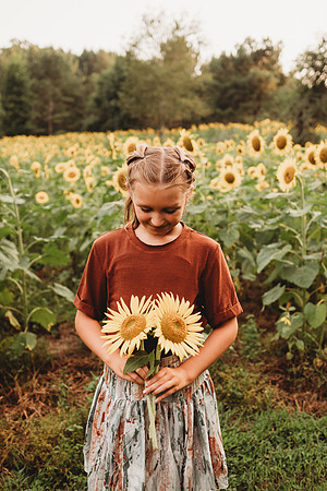 Sunflower-Tessa-256