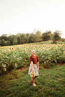 Sunflower-Tessa-164