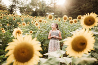 Sunflower-Tessa-134
