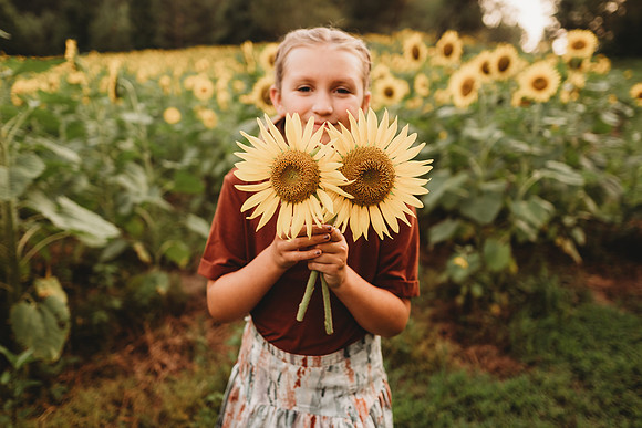 Sunflower-Tessa-179