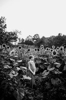 Sunflower-Tessa-44-2