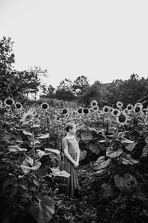 Sunflower-Tessa-44-2
