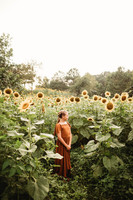 Sunflower-Tessa-44