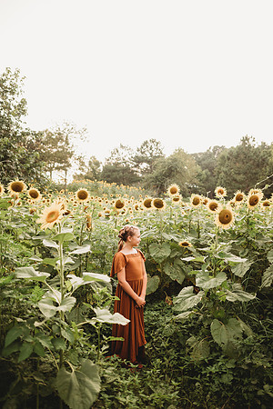 Sunflower-Tessa-44