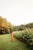 Sunflower-Tessa-126