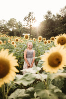 Sunflower-Tessa-60