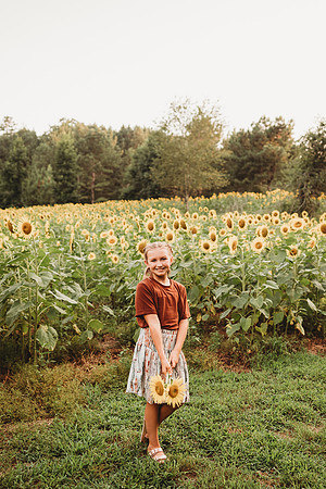 Sunflower-Tessa-216