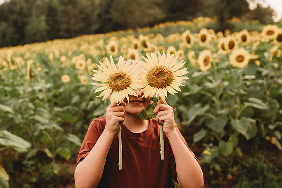 Sunflower-Tessa-184