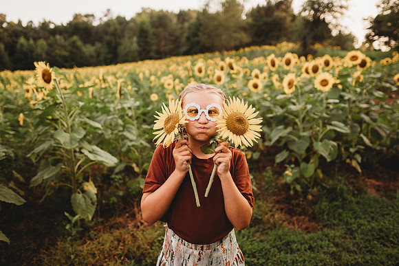 Sunflower-Tessa-212