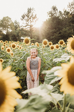 Sunflower-Tessa-261