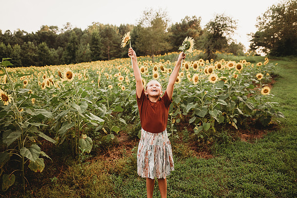 Sunflower-Tessa-253