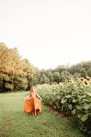 Sunflower-Tessa-113