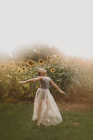 Sunflower-Tessa-119