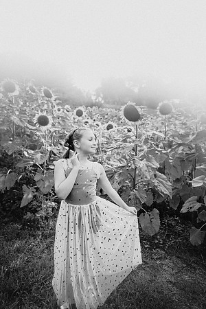 Sunflower-Tessa-272