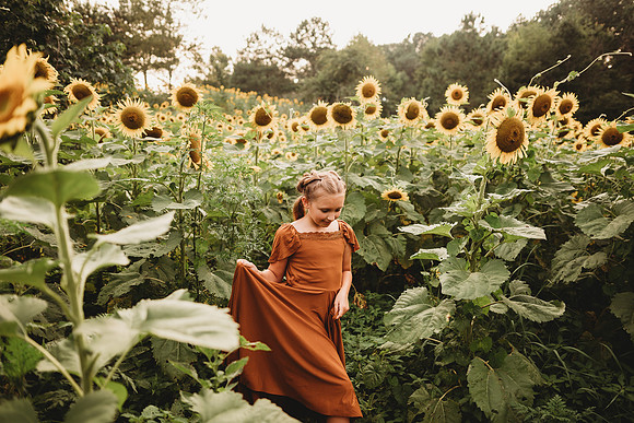 Sunflower-Tessa-176