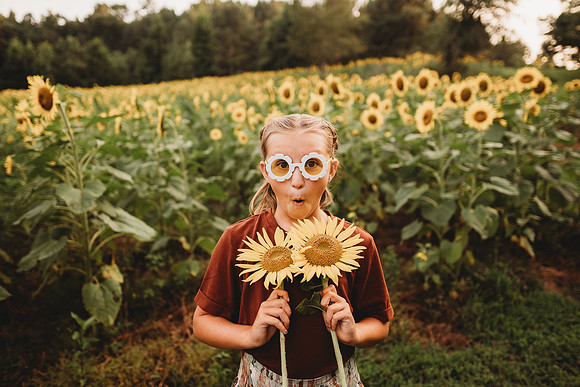 Sunflower-Tessa-124