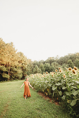 Sunflower-Tessa-223