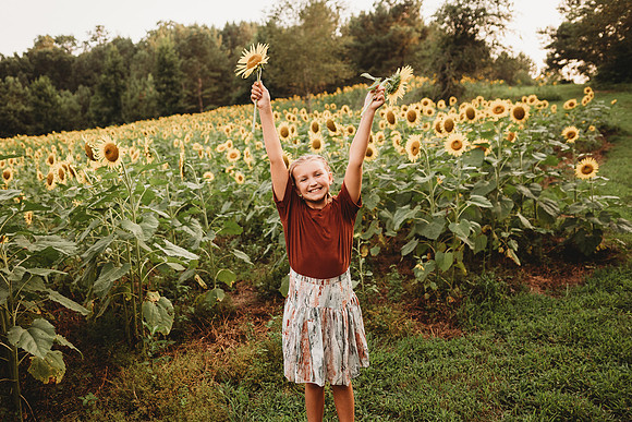 Sunflower-Tessa-175