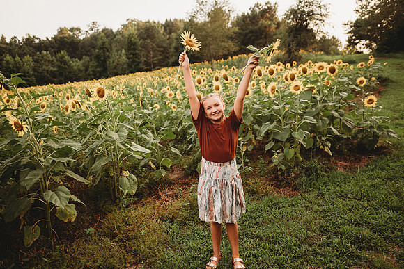 Sunflower-Tessa-4