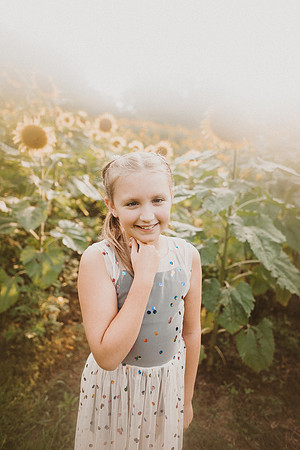 Sunflower-Tessa-252