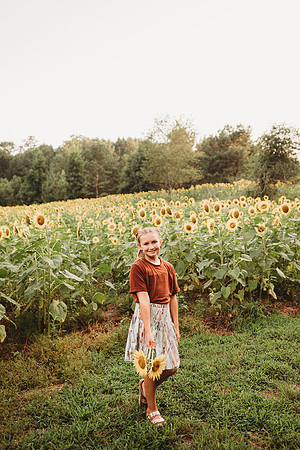 Sunflower-Tessa-166