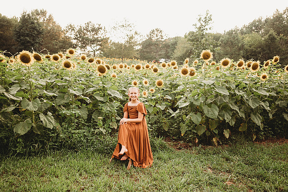 Sunflower-Tessa-236