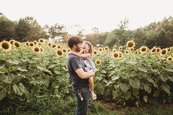 Sunflower-Stella-112