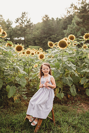 Sunflower-Stella-163
