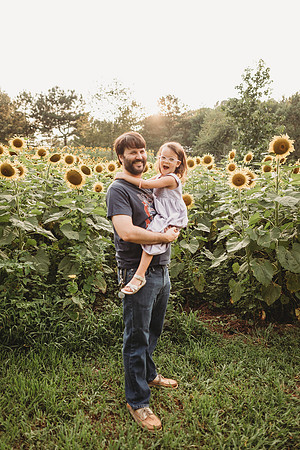 Sunflower-Stella-71