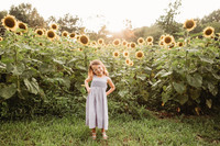 Sunflower-Stella-62