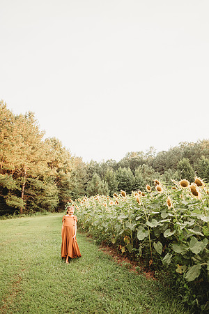 Sunflower-Tessa-211