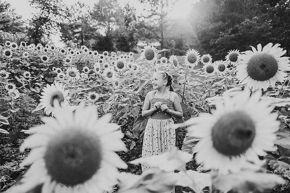 Sunflower-Tessa-254