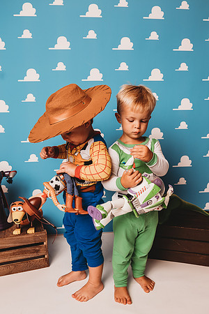 Toy Story-Brown-73