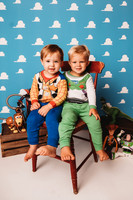 Toy Story-Brown-25
