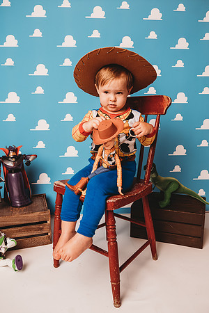 Toy Story-Brown-184