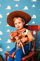 Toy Story-Brown-21