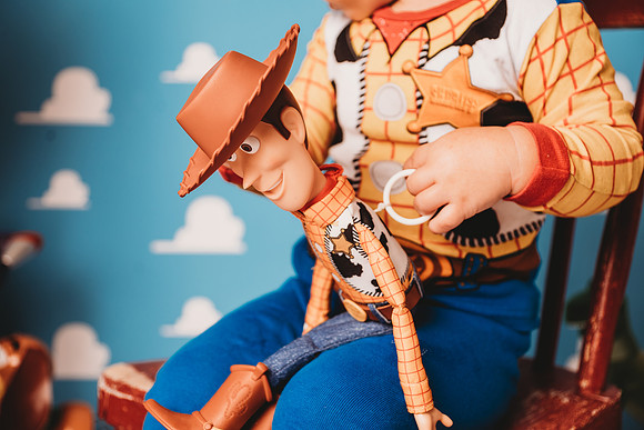 Toy Story-Brown-130