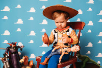 Toy Story-Brown-16