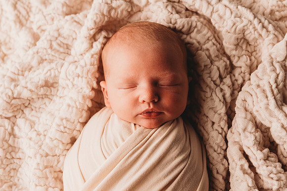 Newborn-Taylor-338