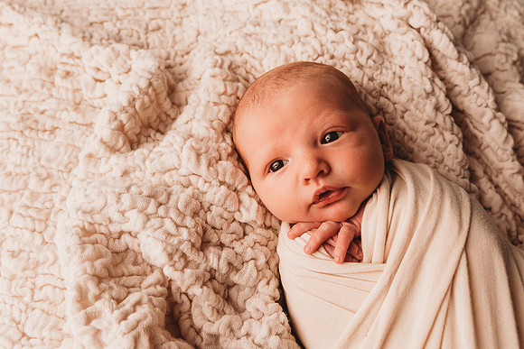 Newborn-Taylor-159