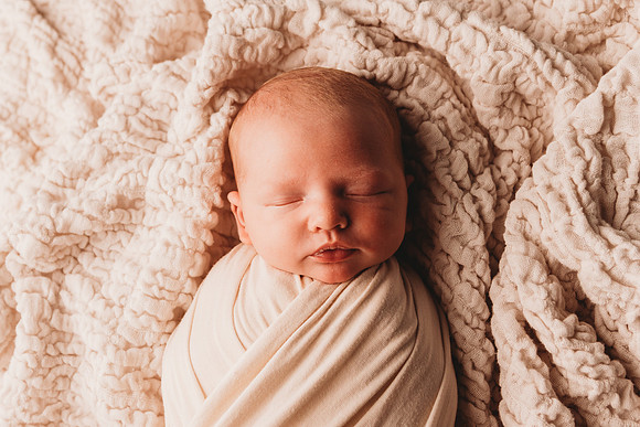 Newborn-Taylor-78