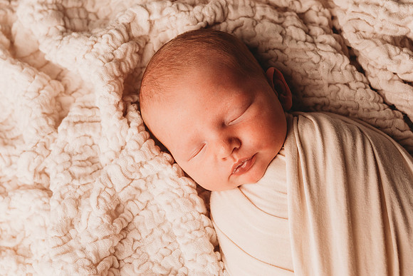 Newborn-Taylor-213